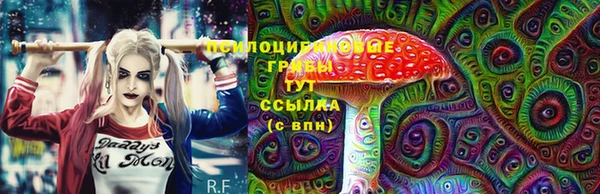 a pvp Бронницы
