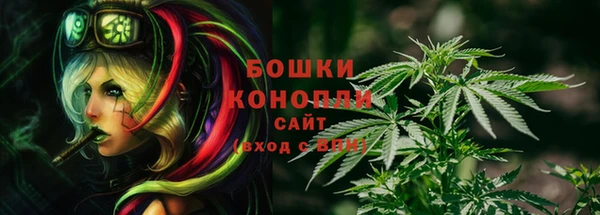 гашик Волоколамск