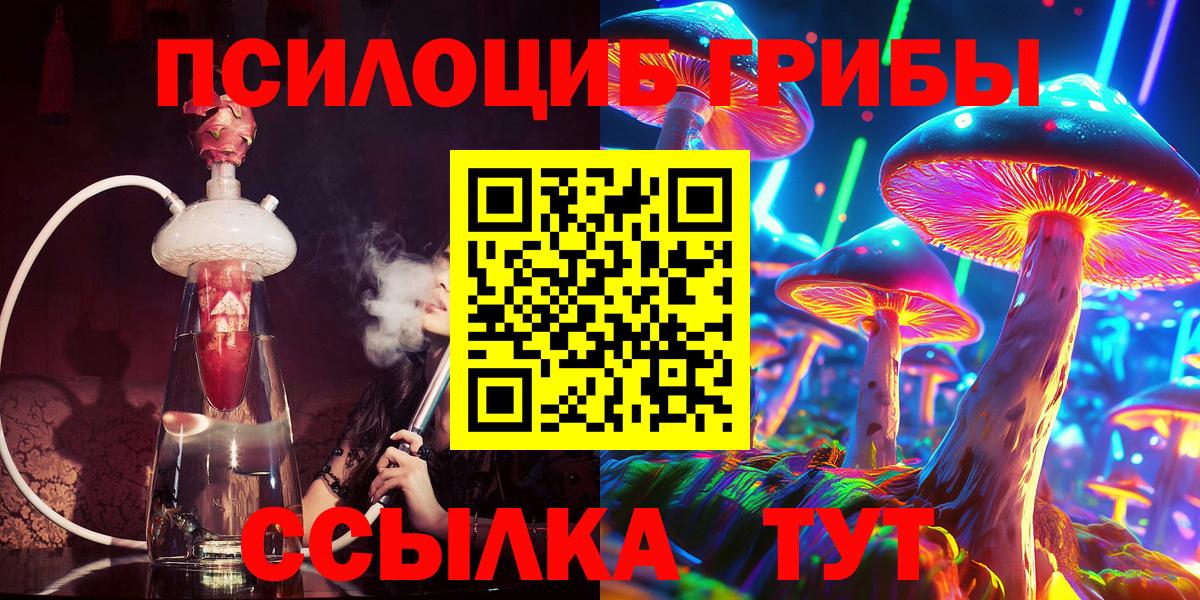 Галлюциногенные грибы Psilocybine cubensis Среднеуральск